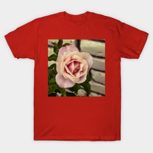 Rose and brick T-Shirt